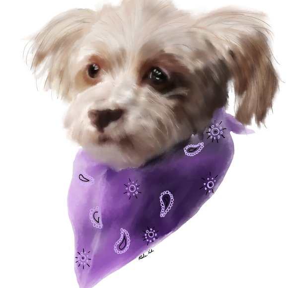 Meet your Posher, Nicole - Picture 12 of 13